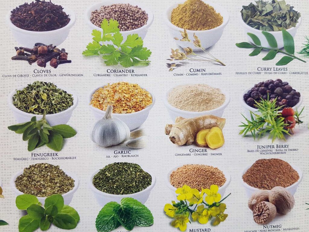 various spices for food