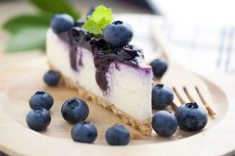 blueberry-cheesecake-1